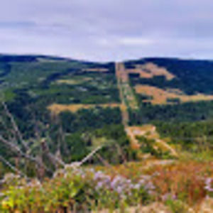 Meet your Posher, Kinkade